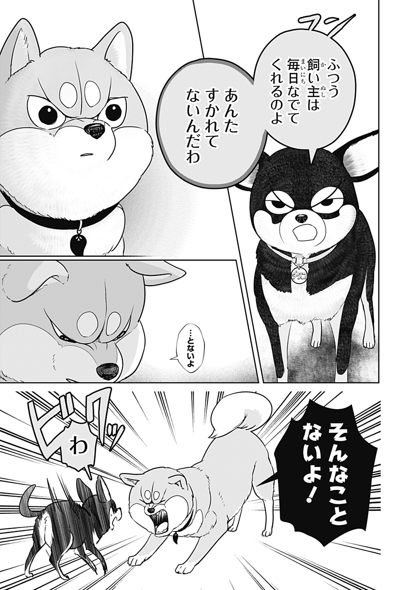 Shiba-Tsuki Bukken Chapter 21 11ページ