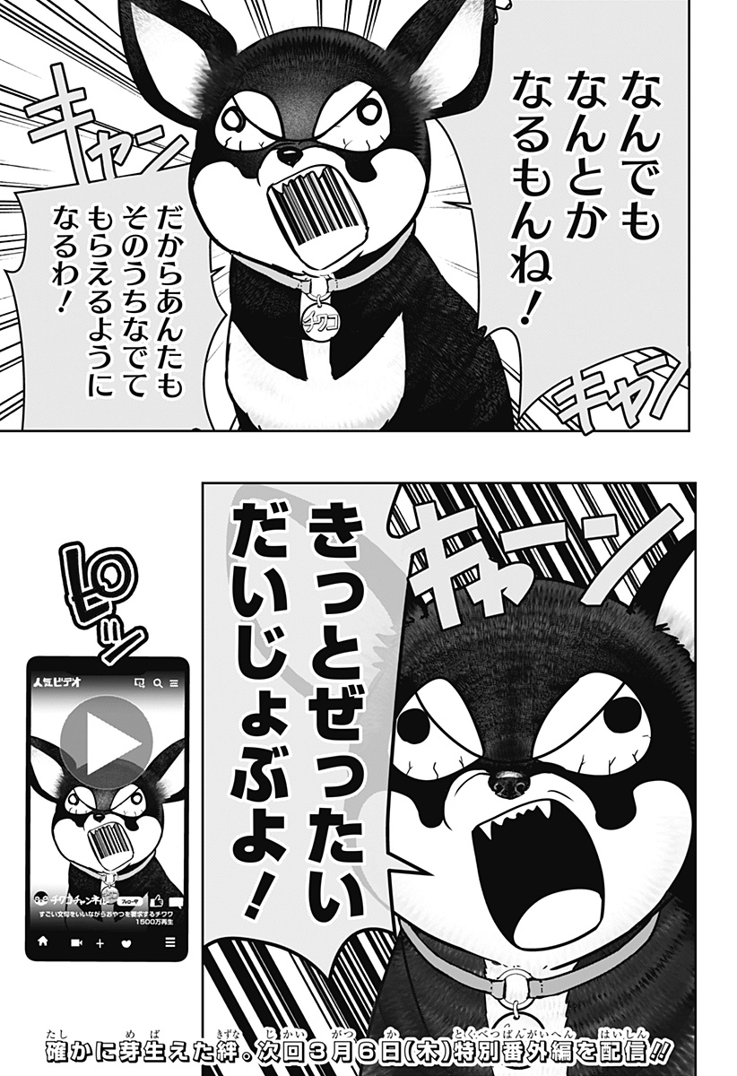 Shiba-Tsuki Bukken Chapter 21 31ページ