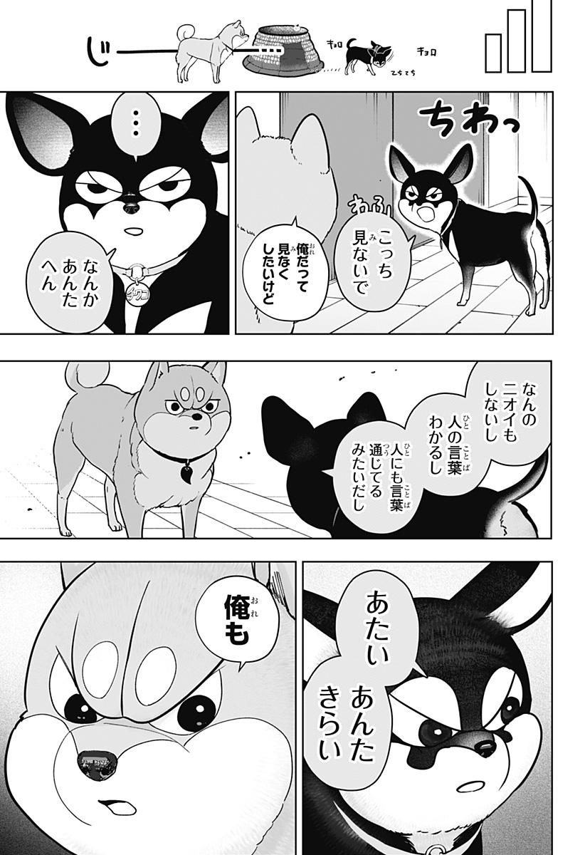 Shiba-Tsuki Bukken Chapter 21 9ページ