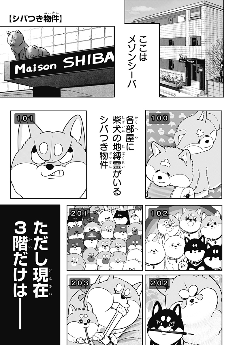 Shiba-Tsuki Bukken Chapter 24 1ページ
