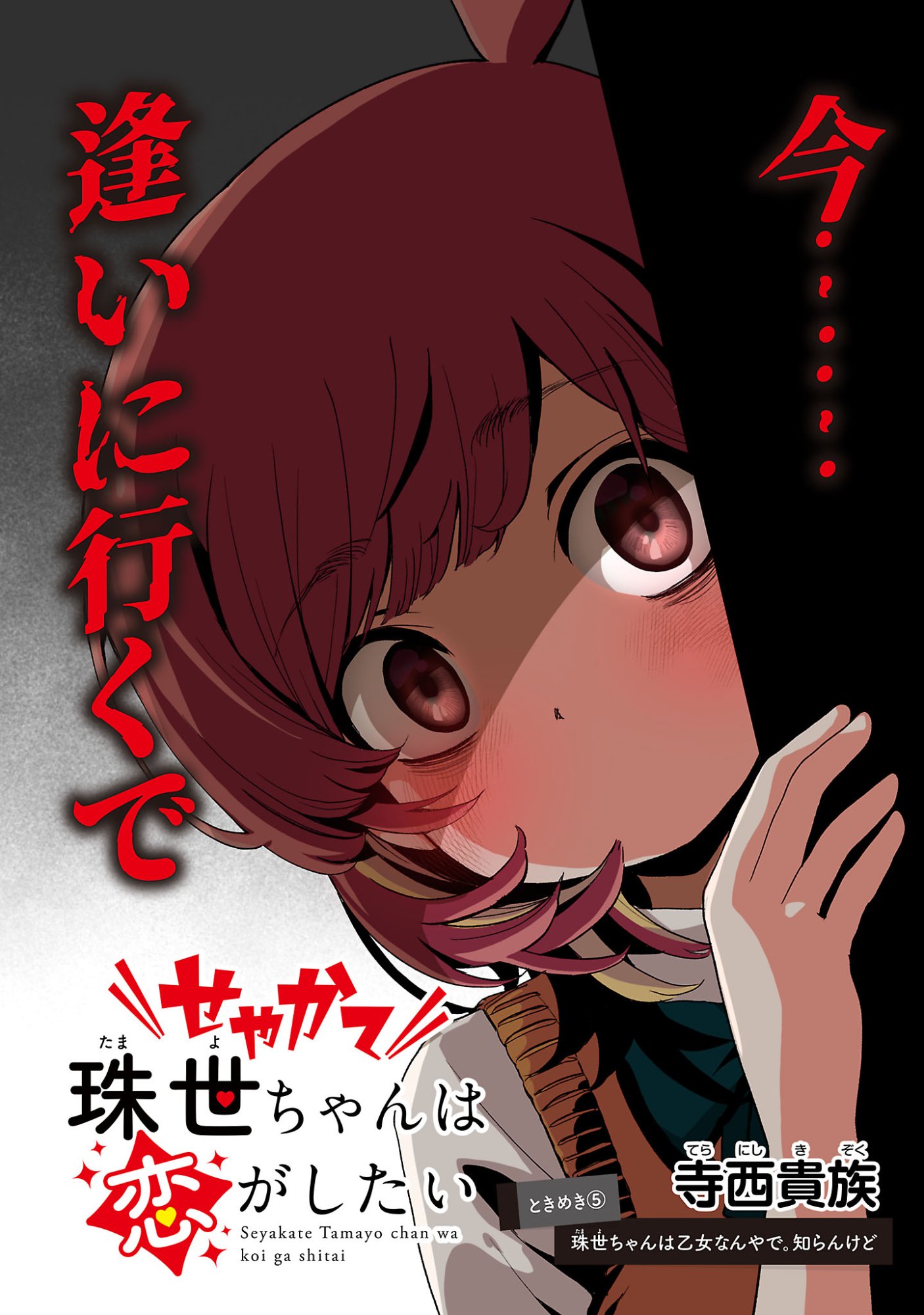 Seyakate Tamayo-chan wa Koi ga shitai Chapter 6 2ページ