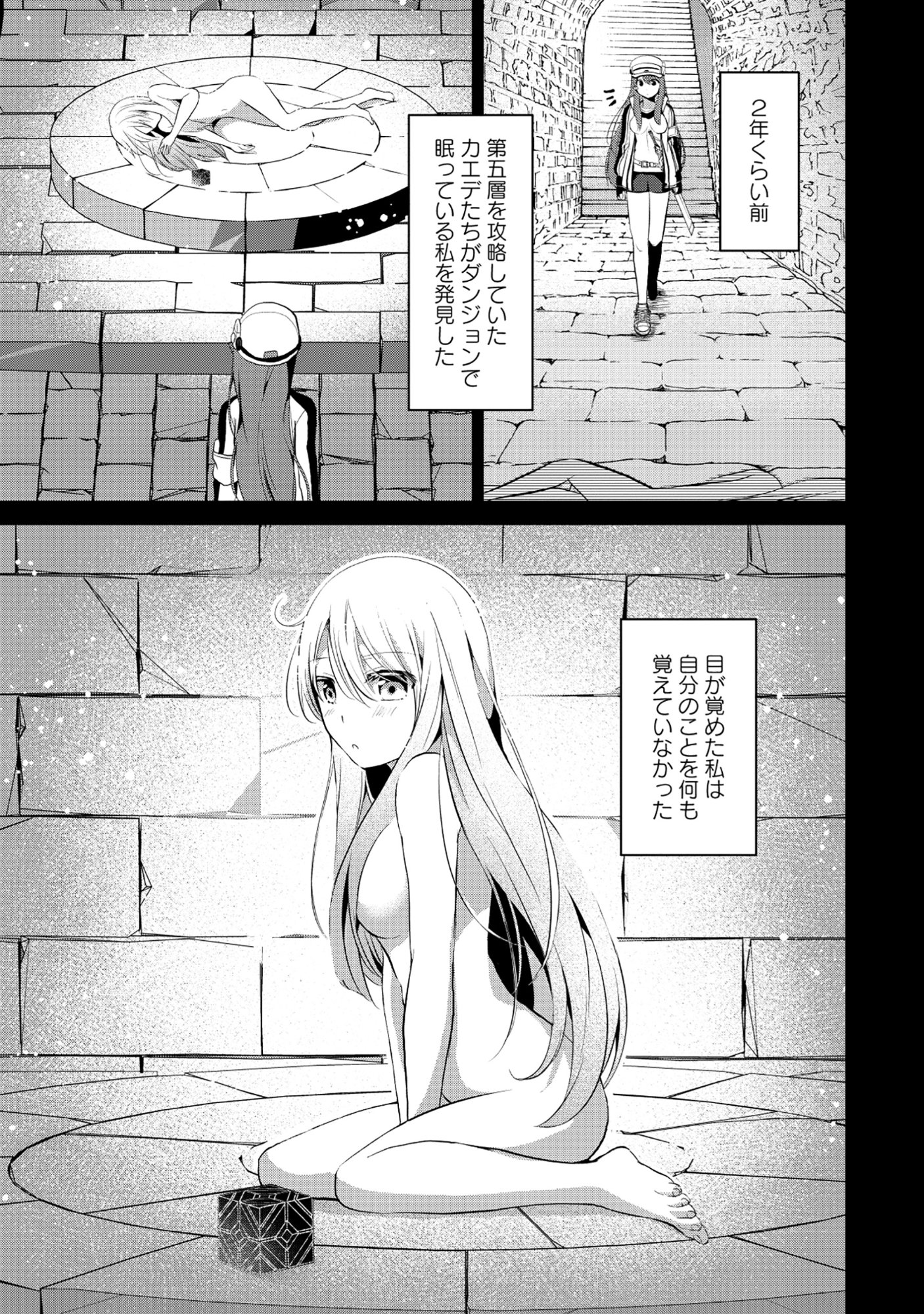 Tobenai Saikyou no Dungeon Seeker Chapter 8.1 11ページ