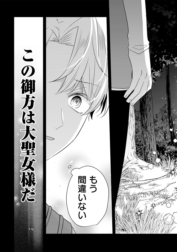 Tensei Seijo wa Hikikomori Slow Life wo Mezashitai! Chapter 11.1 9ページ