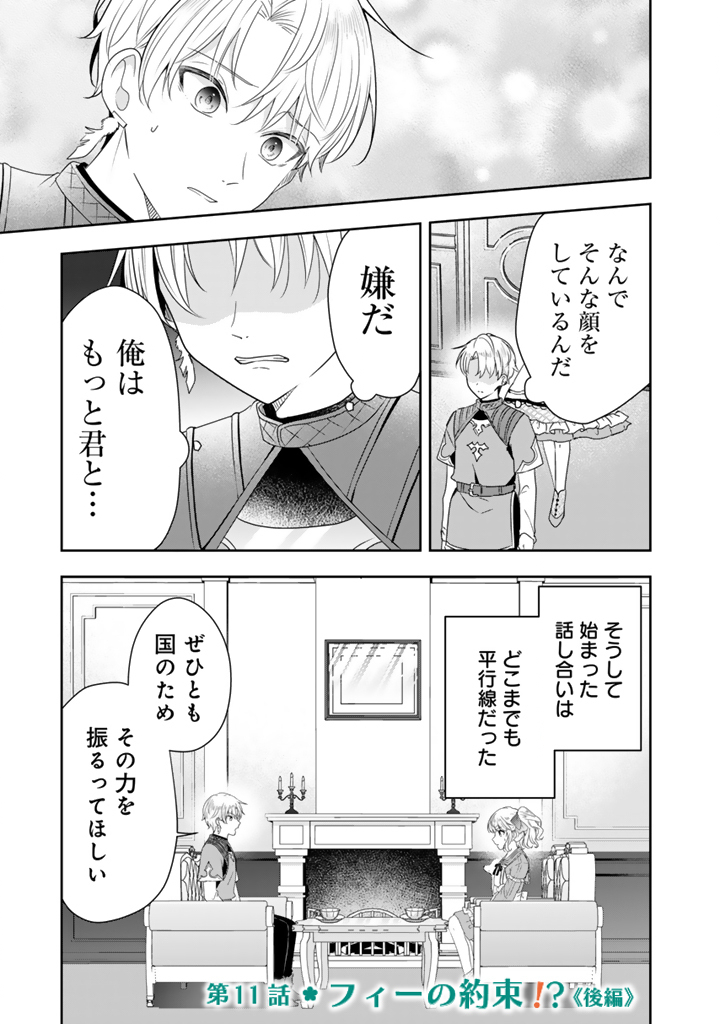 Tensei Seijo wa Hikikomori Slow Life wo Mezashitai! Chapter 11.2 1ページ