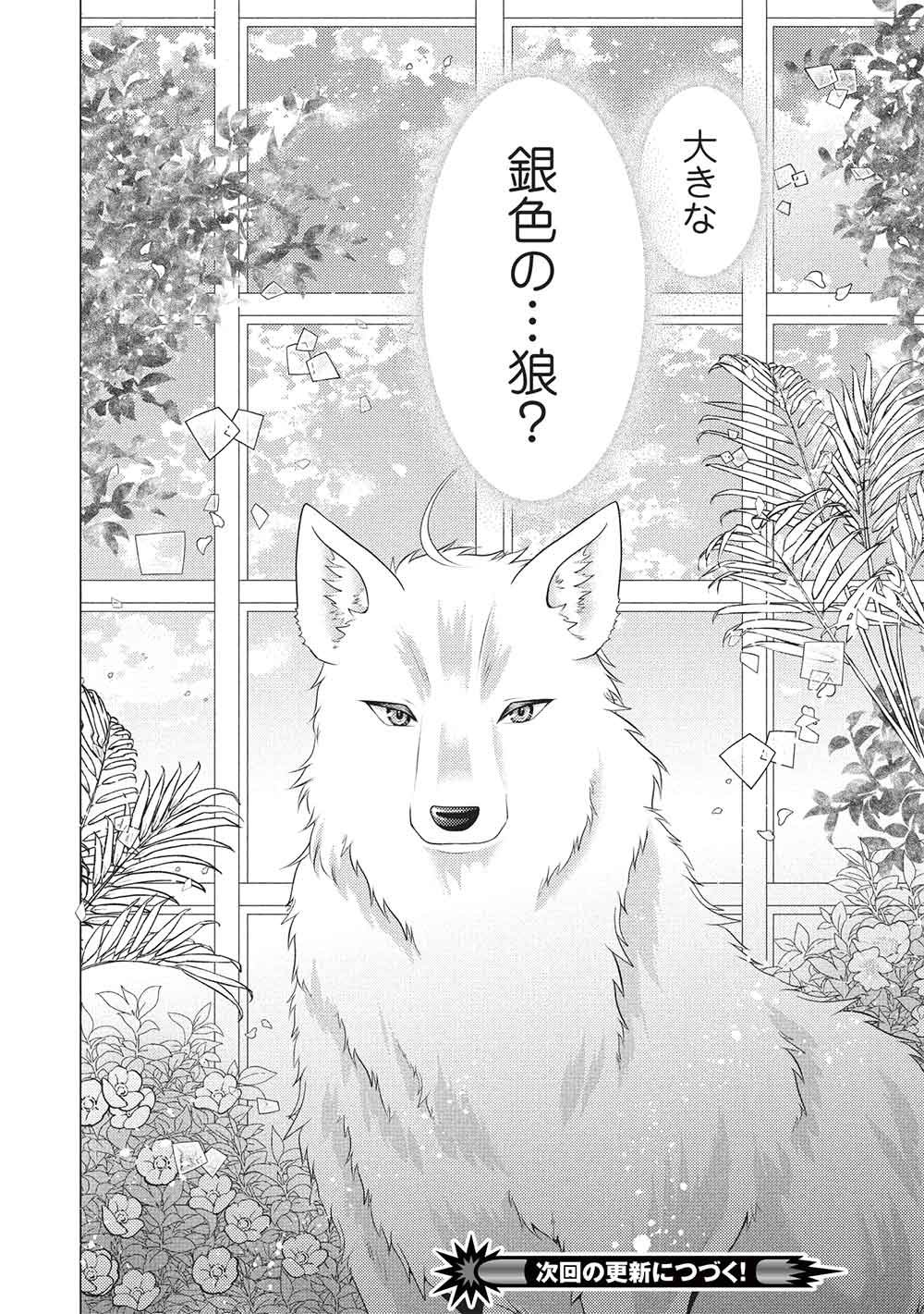 Konyakuhaki sareta Tsuihou Seijou wa, Mofu-Mofu Koushaku ni Aisareru Chapter 1 20ページ