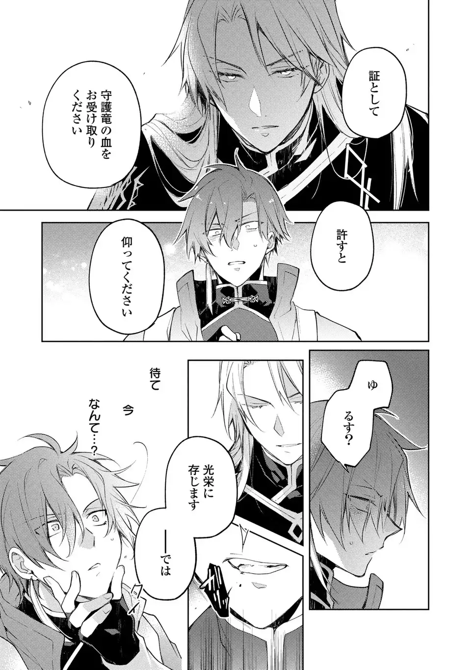 Shinryuu no Koukeisha Dekisokonai to Futari no Shugoryuu Chapter 3 29ページ