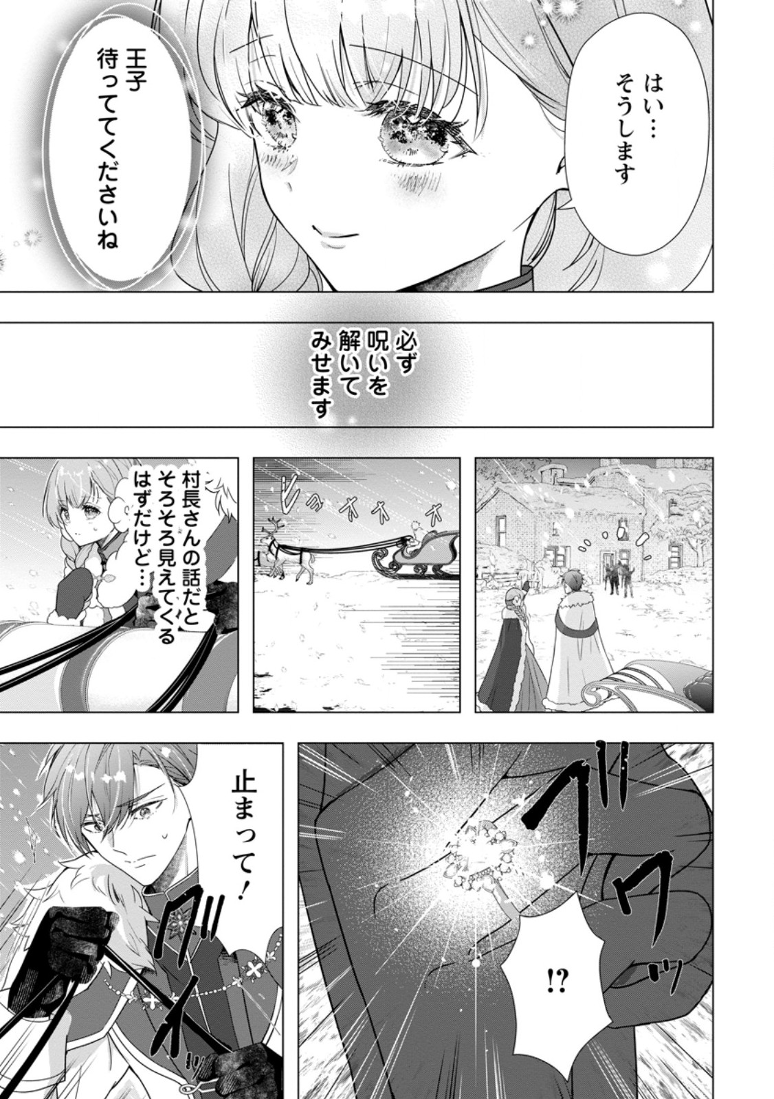 Cinderella no Ane desu ga, Fuhoninagara Ouji to Kekkon suru Koto ni narimashita - Migawari Outaishi-hi wa Rikyuu de Slow Life wo Mankitsu suru Chapter 35.1 7ページ