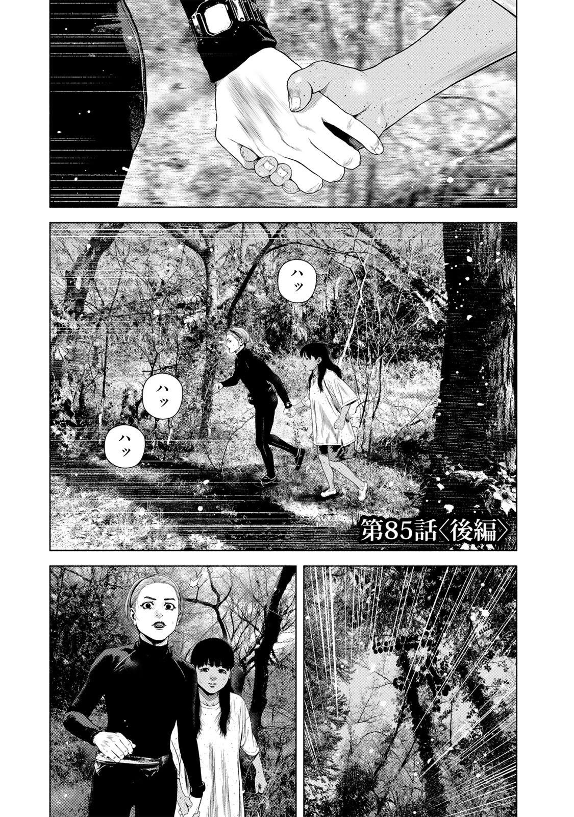 Furitsumore Kodoku na Shiyo Chapter 85.2 1ページ