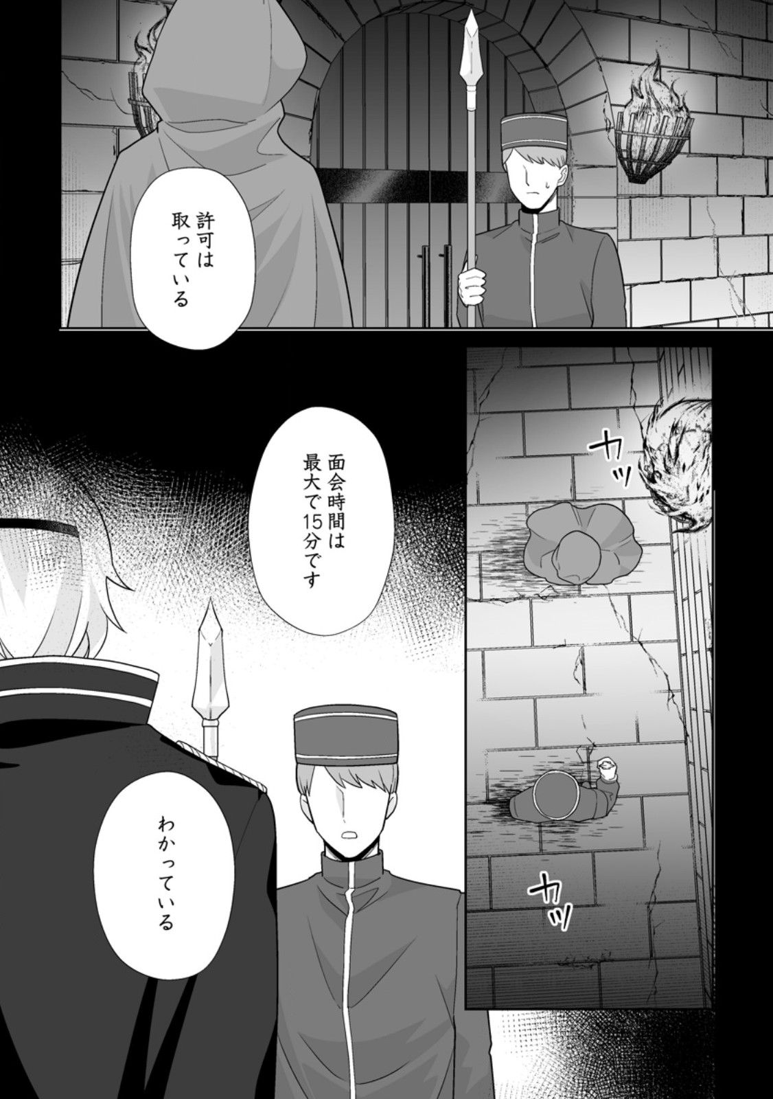 Migawari de Endan ni Sanka shita Gumai no Watashi, Ringoku no Ouji-sama ni Misomeraremashita Chapter 15.3 9ページ