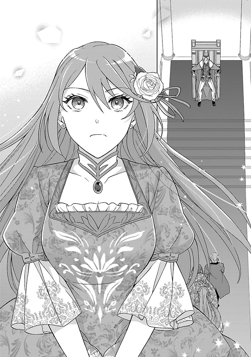 Koutei no Kakishiko no Reijou wa Abarenbou Koushaku Reisoku no Tazuna wo Nigiru Chapter 3 26ページ