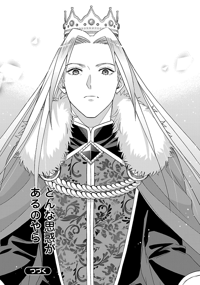 Koutei no Kakishiko no Reijou wa Abarenbou Koushaku Reisoku no Tazuna wo Nigiru Chapter 3 27ページ