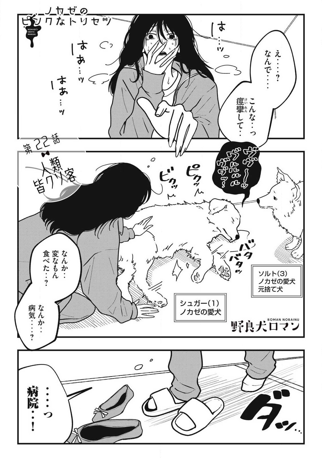 Nokaze no Pink na Torisetsu Chapter 22 1ページ
