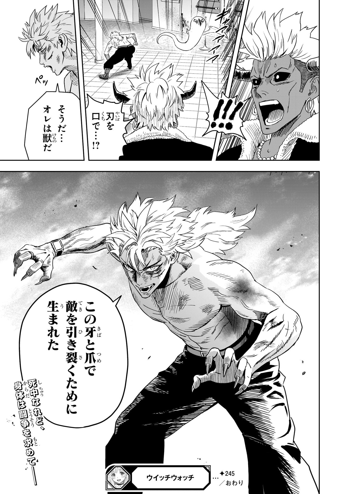 Witch Watch Chapter 245 19ページ