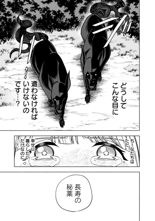 Ochikobore Guild Shokuin, Jitsu wa S Rank Shoukanshi Datta Chapter 8 7ページ