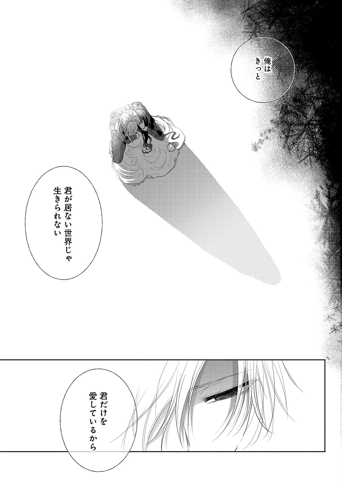 Konyakusha ni "Anata wa Shourai Uwaki wo shite Watashi wo Suteru kara Wakarete kudasai" to Itte Mita Chapter 27.2 3ページ