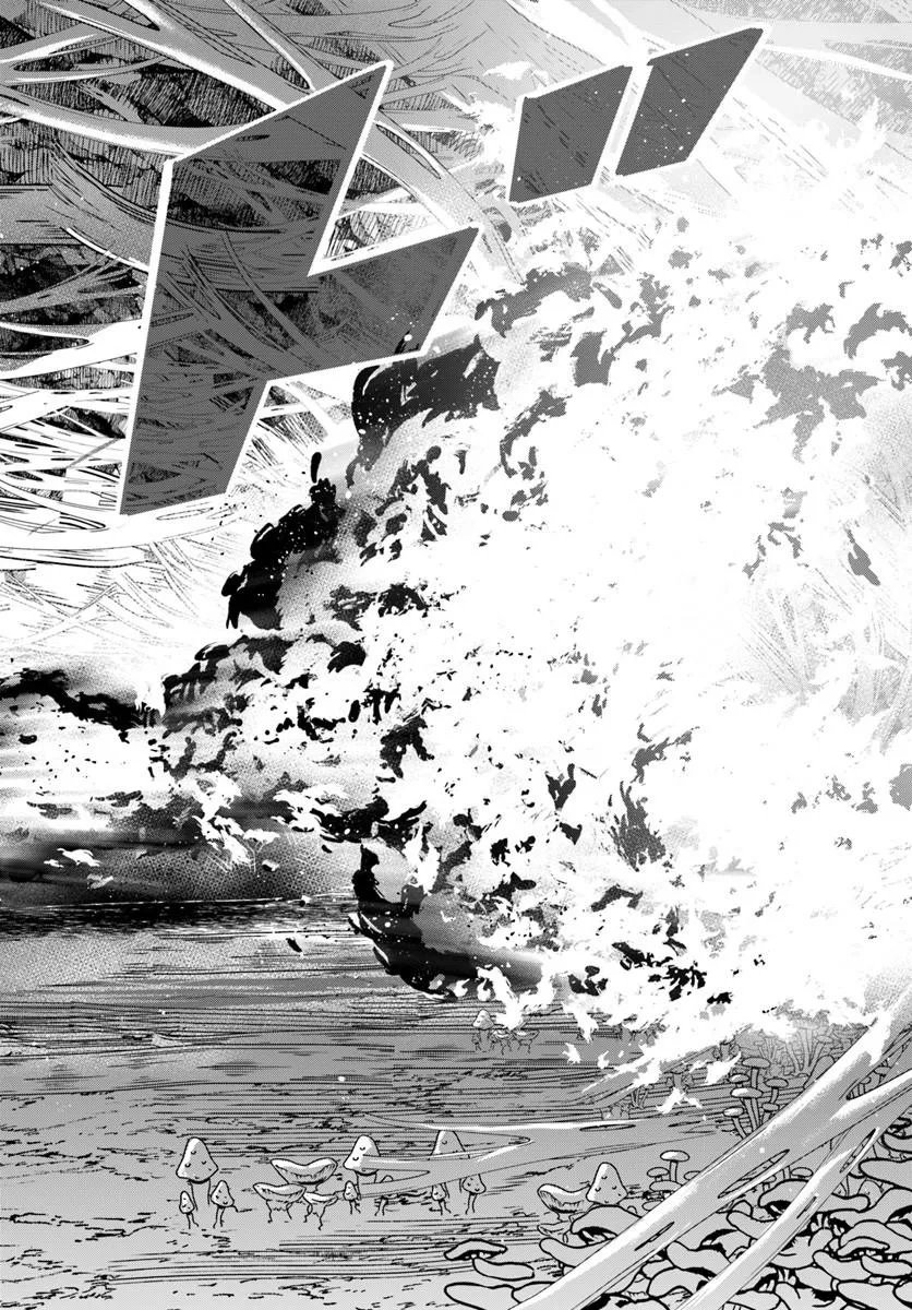 Henkyou no Renkinjutsushi: Imasara Yosan Zero no Shokuba ni Modoru Toka Mou Muri Chapter 46.2 13ページ