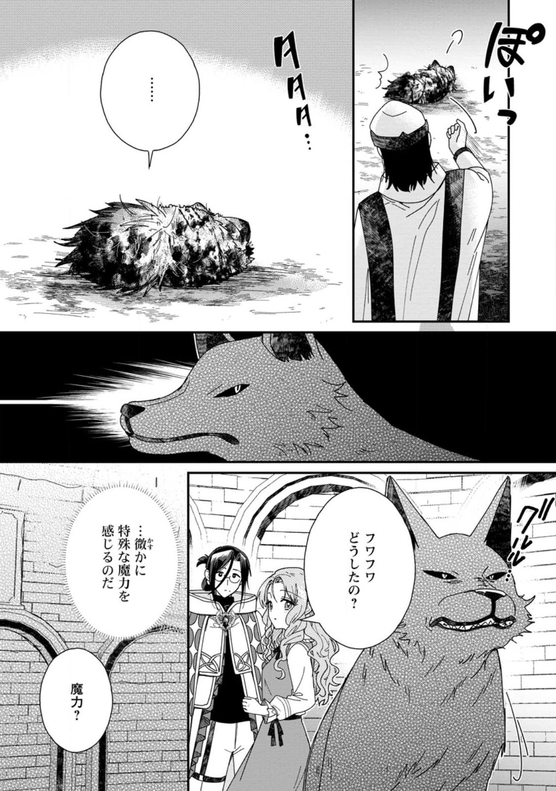 Ochikobore Dame Reijou wa Dekiai sarete Umarekawarimasu!? ~Home rareru no ga Ureshikute Ganbatte Itara kikaku-gai no Sainou ga Kaika shimashita~ Chapter 16.3 6ページ