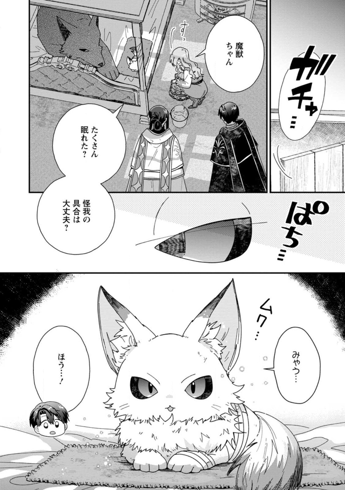 Ochikobore Dame Reijou wa Dekiai sarete Umarekawarimasu!? ~Home rareru no ga Ureshikute Ganbatte Itara kikaku-gai no Sainou ga Kaika shimashita~ Chapter 17.3 9ページ