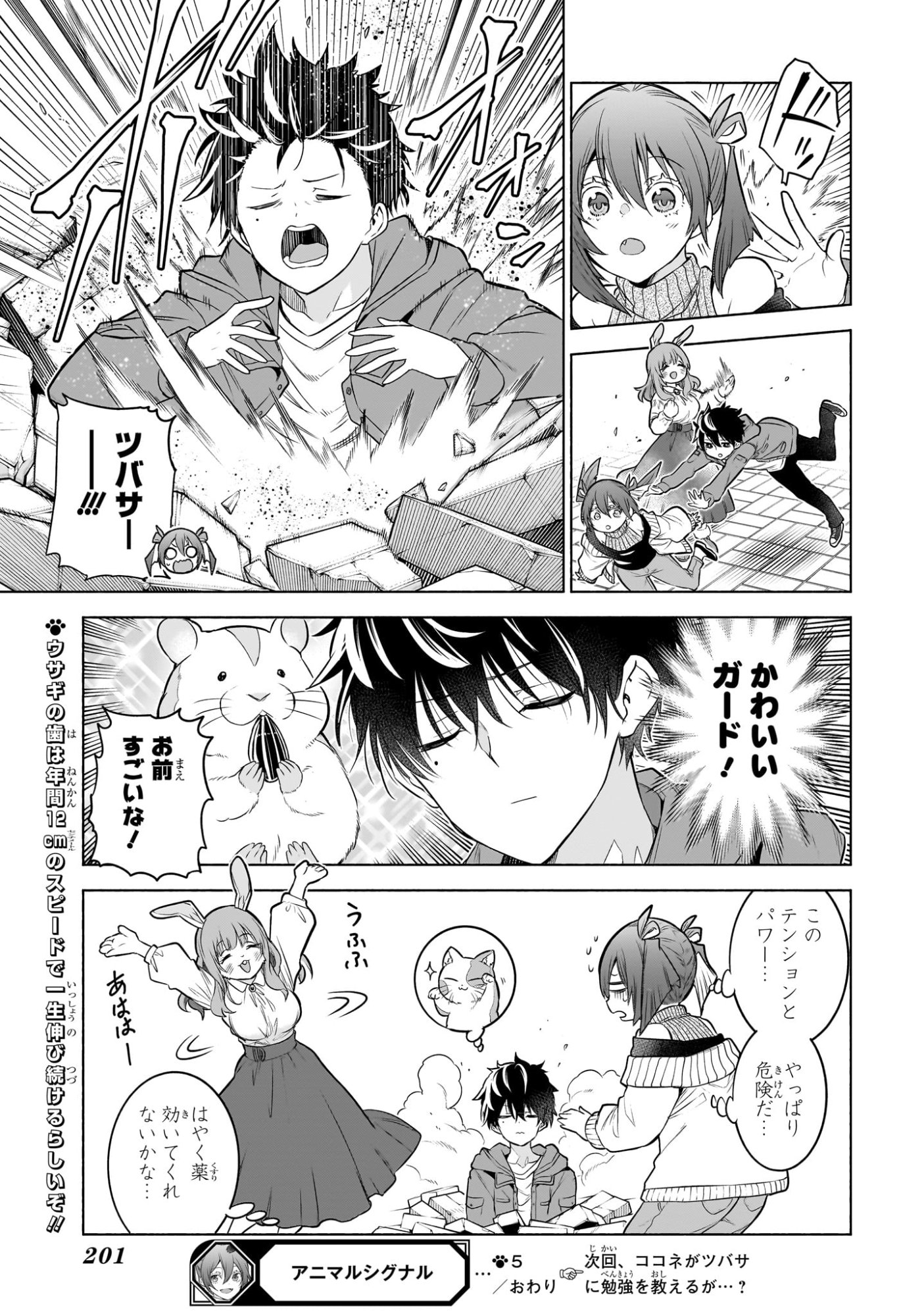 Animal Signal Chapter 5 19ページ
