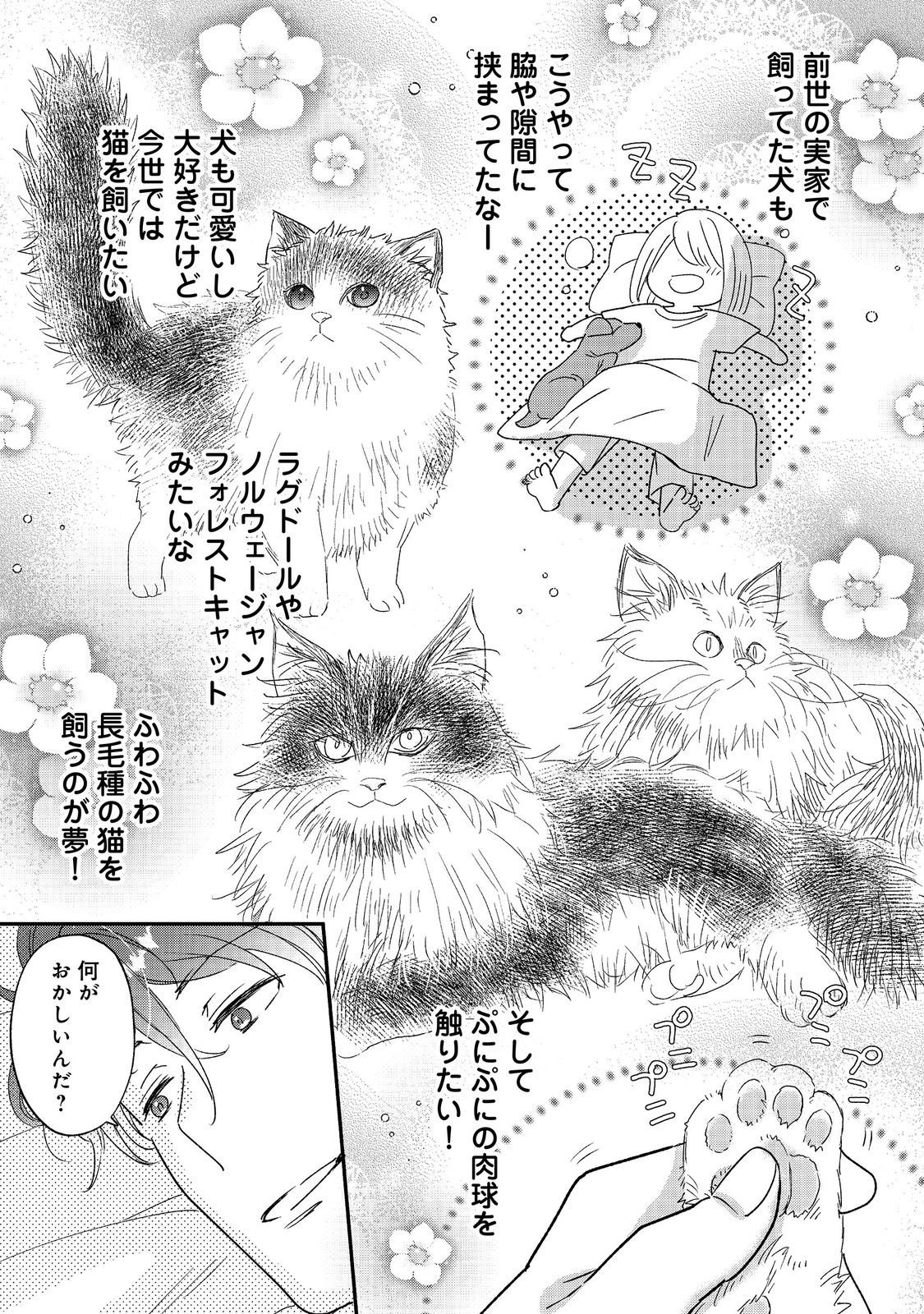Isekai Tensei Shitara Henkyou haku Reijoudatta ~Oshi to Tomoniikiru Henkyou Seikatsu~ @COMIC Chapter 5.1 17ページ