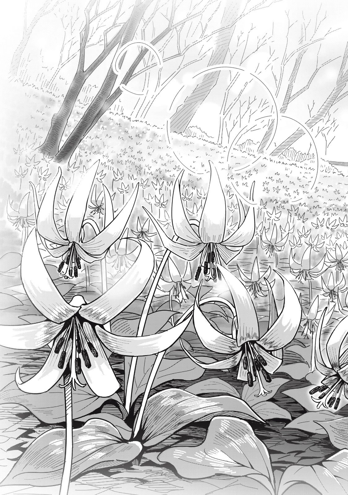 Usagi to Kame no Yurusanpo Chapter 2 23ページ