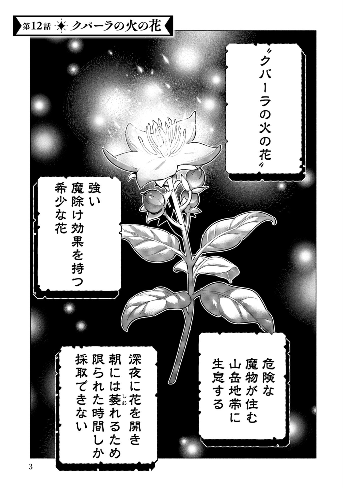 Kyuutei Madoushi Minarai o Yamete, Mahou Item Shokunin ni Narimasu Chapter 12 1ページ