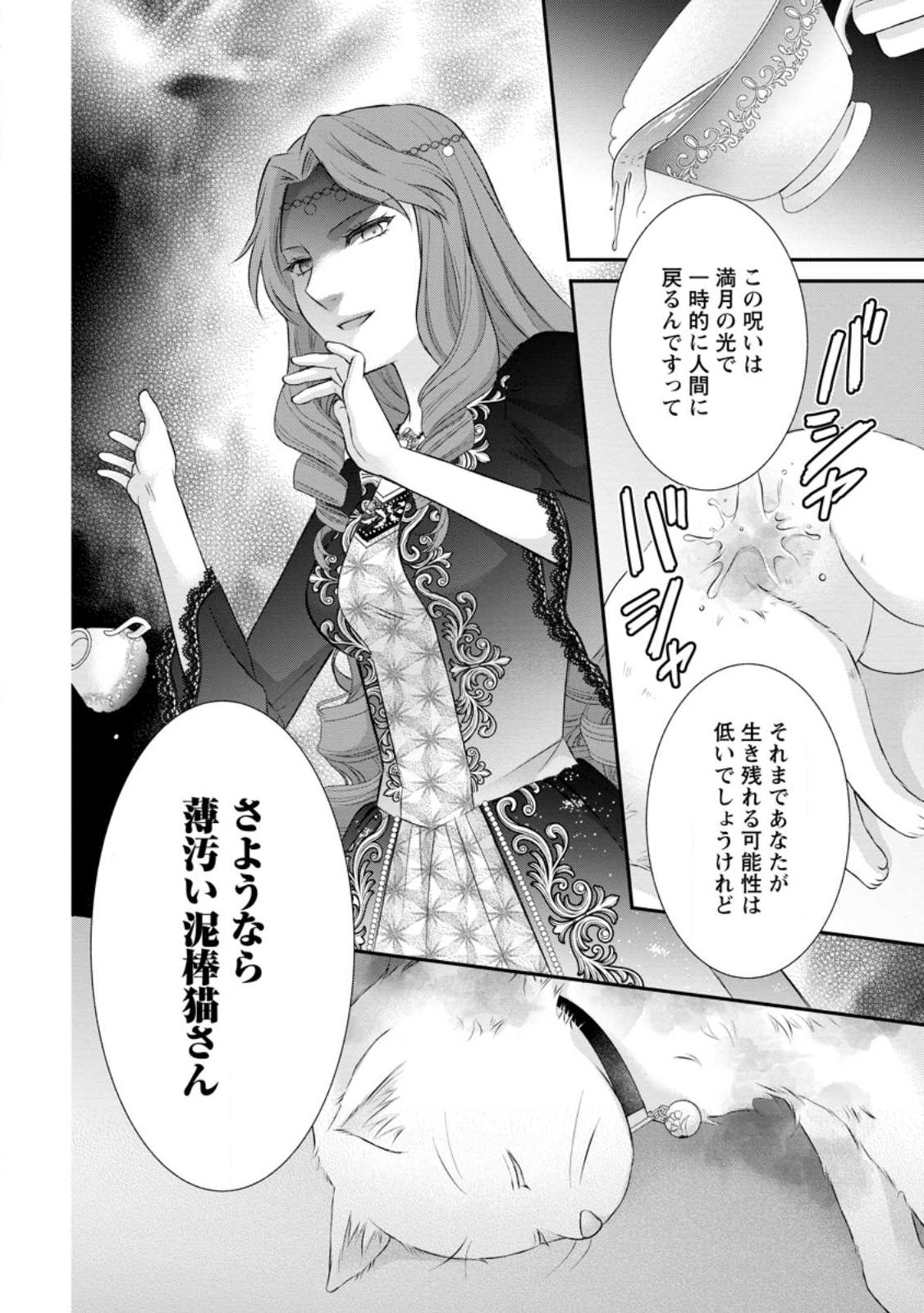 Noroi de Neko ni Sareta Akujo, Outaishi ni Hirowareru. Chapter 20.3 9ページ