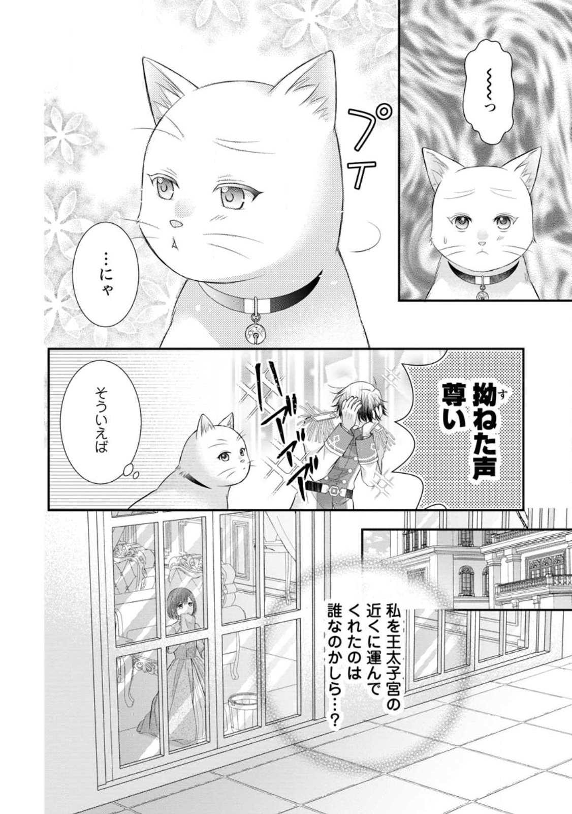 Noroi de Neko ni Sareta Akujo, Outaishi ni Hirowareru. Chapter 21.3 12ページ