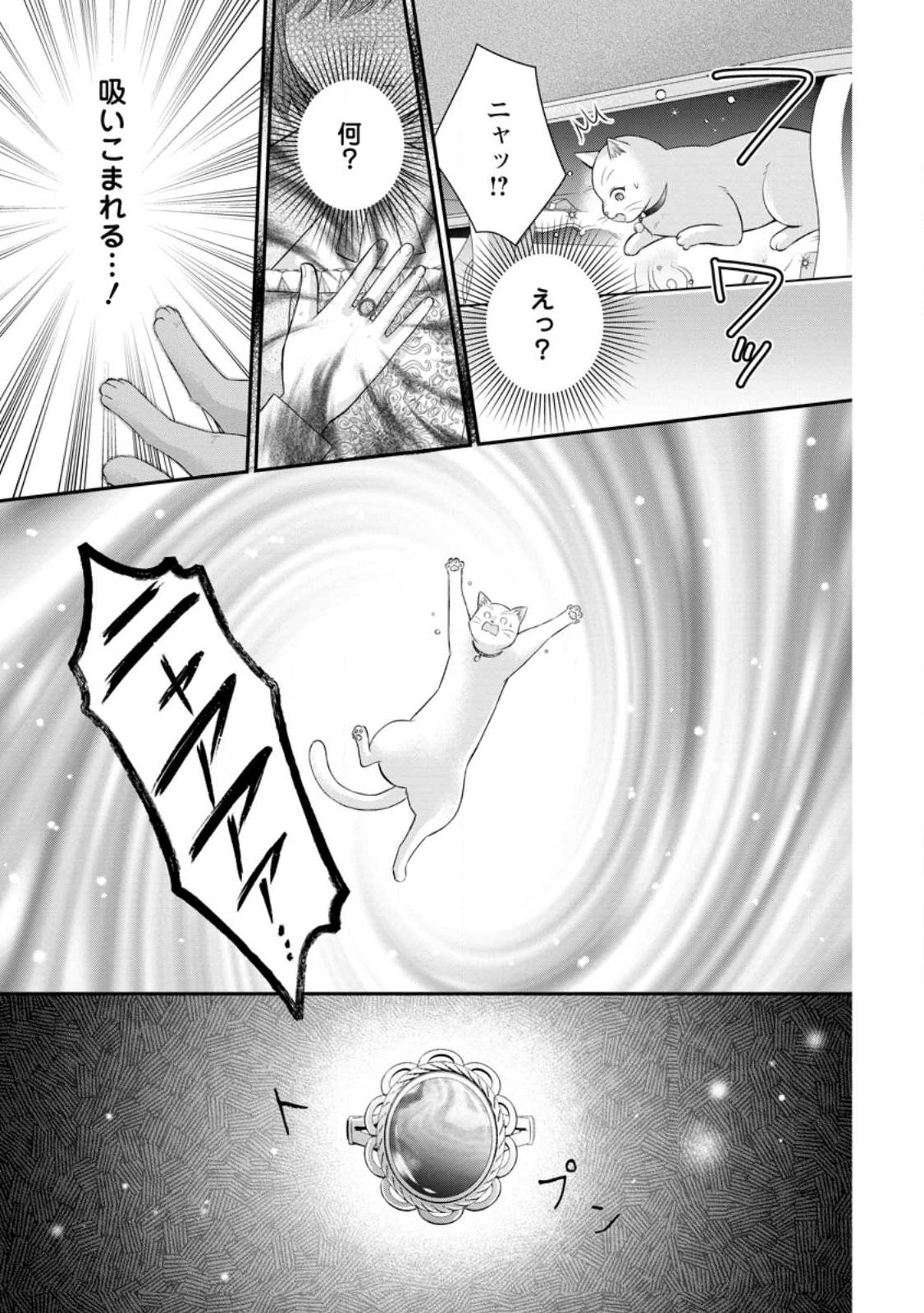 Noroi de Neko ni Sareta Akujo, Outaishi ni Hirowareru. Chapter 22.3 10ページ
