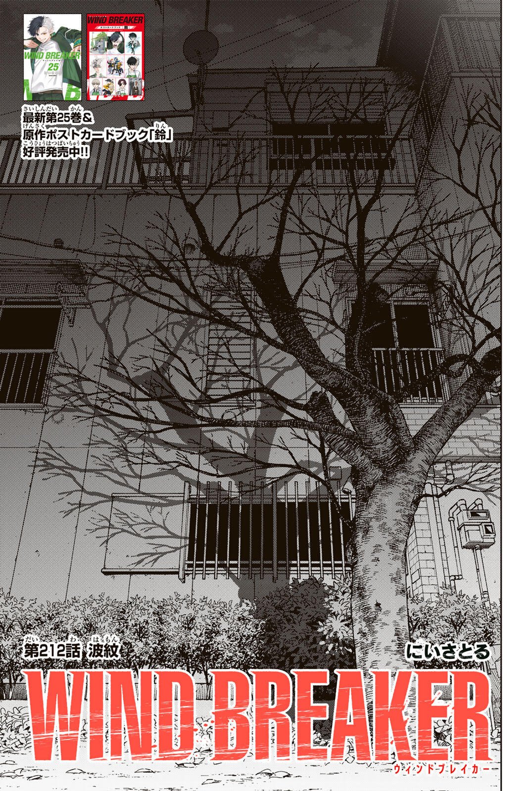 Wind Breaker (NII Satoru) Chapter 212 3ページ
