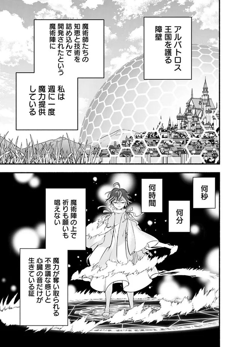 Maryokuryou Rekidai Saikyou na Tensei Seijo-sama no Gakuen Seikatsu wa Haran ni Michiafureteiru you desu Chapter 1 23ページ