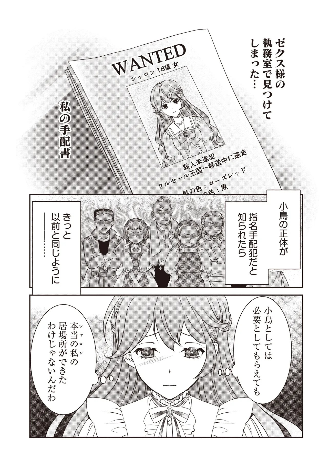 Saikyou Henkyou Haku ni Hirowaremashita, Kotori (Akujo?) desu Chapter 5.2 12ページ