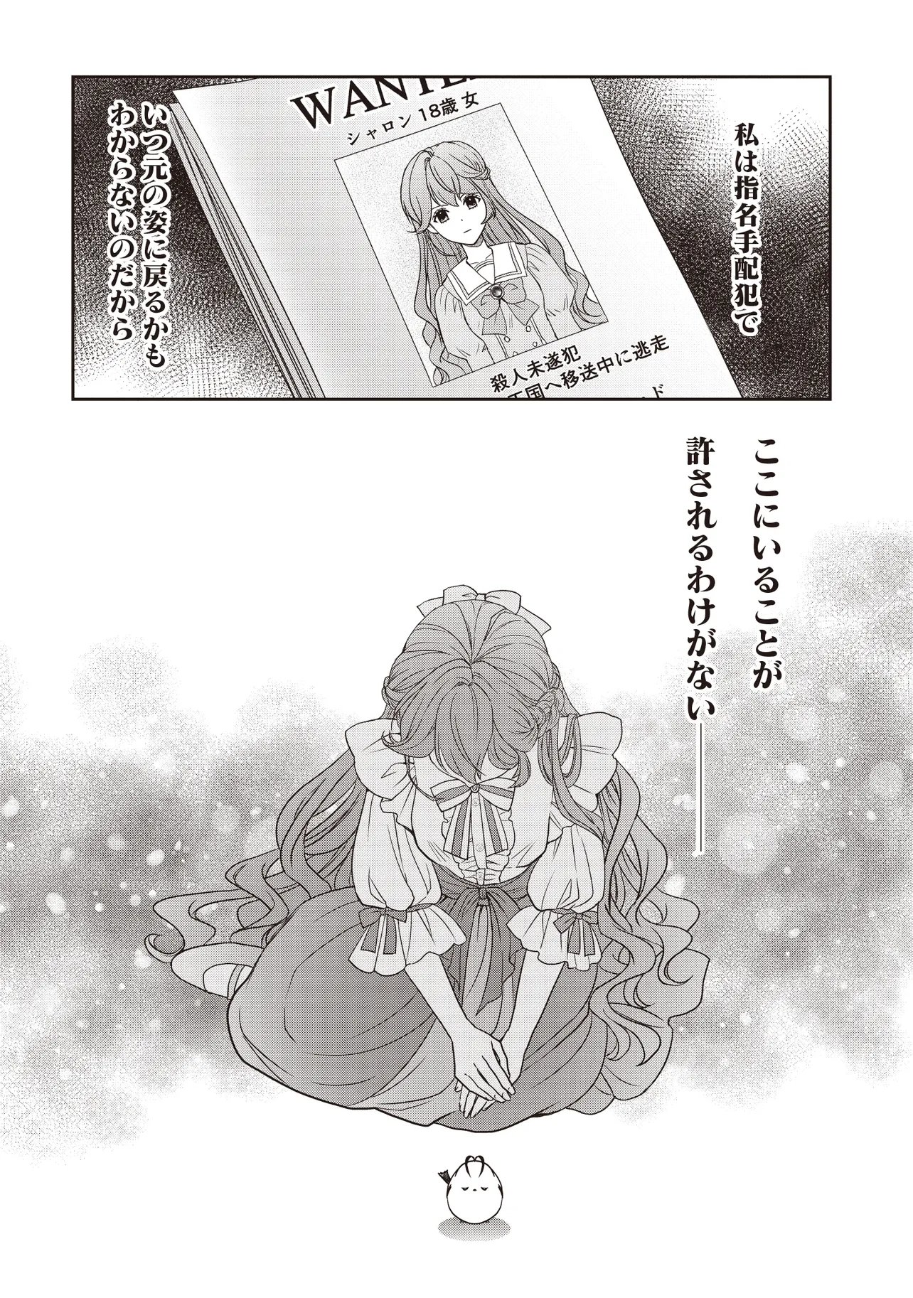 Saikyou Henkyou Haku ni Hirowaremashita, Kotori (Akujo?) desu Chapter 5.2 13ページ