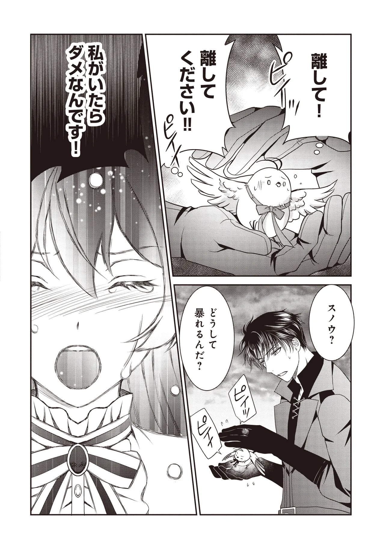Saikyou Henkyou Haku ni Hirowaremashita, Kotori (Akujo?) desu Chapter 8.1 16ページ