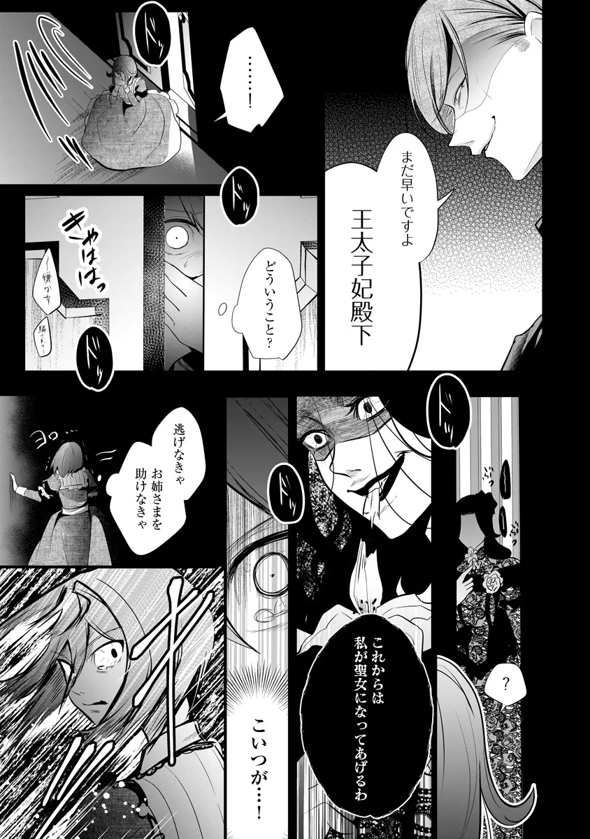 Fukushuu Reijou no Akutougari Chapter 2.1 26ページ