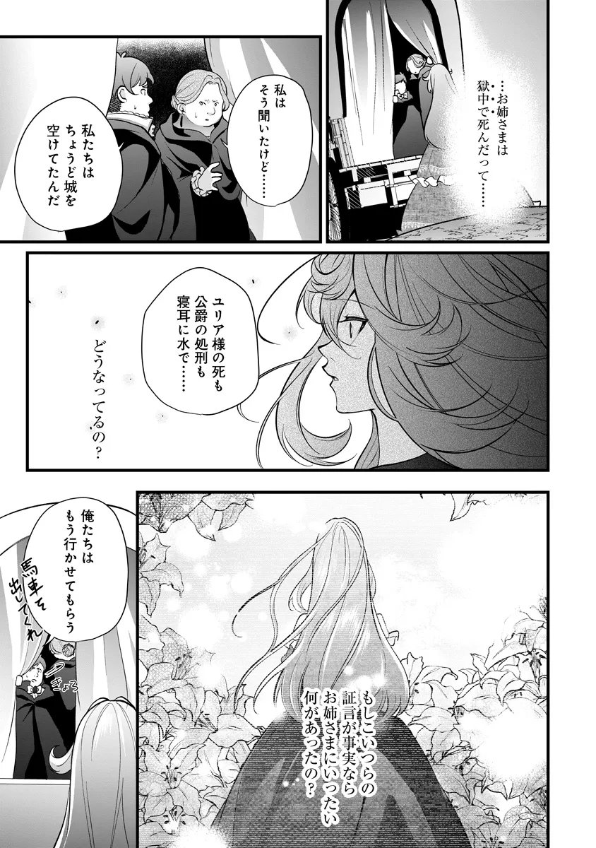 Fukushuu Reijou no Akutougari Chapter 3.2 19ページ