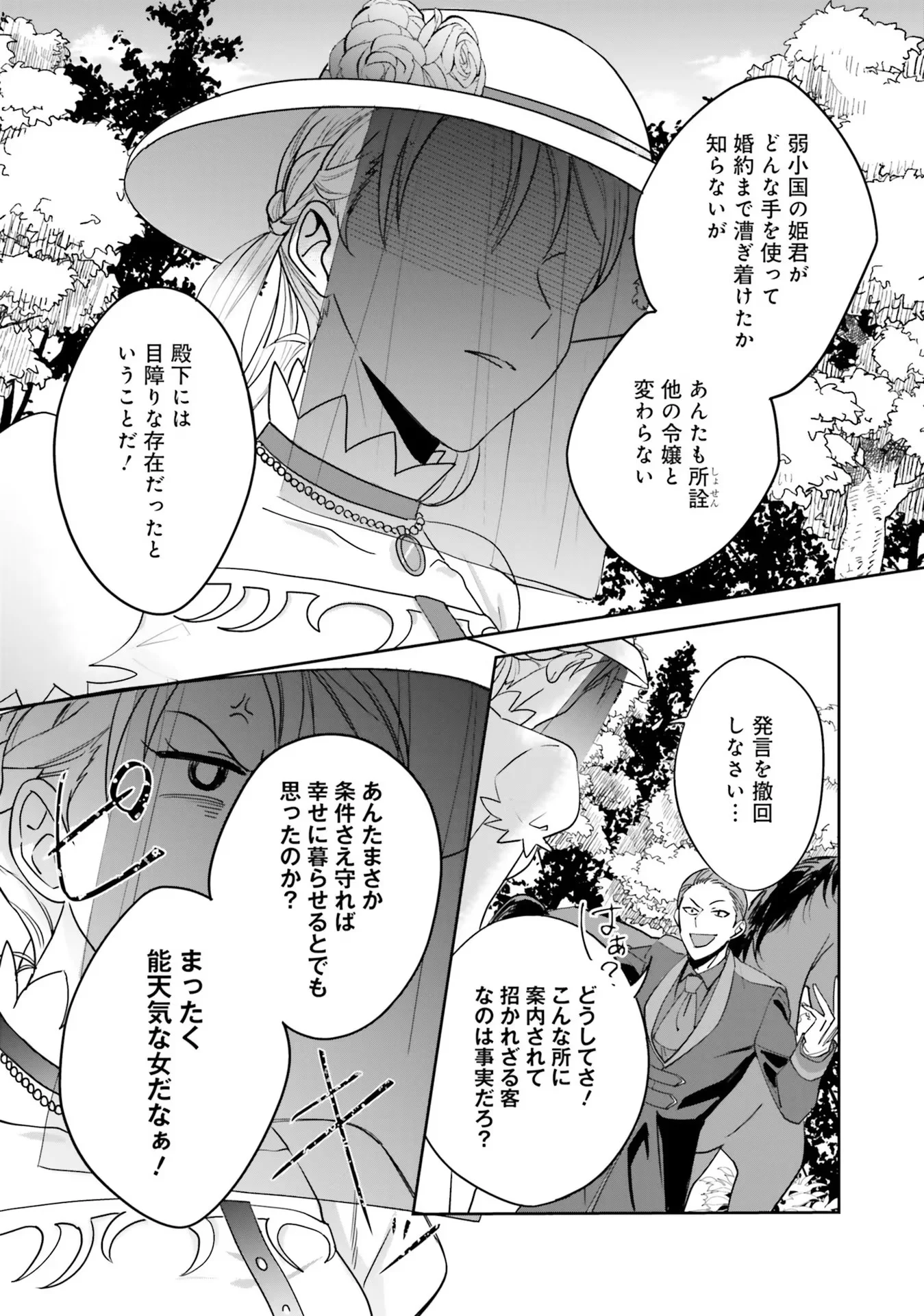 Kojirase Outaishi to Yakusoku no Himegimi Chapter 2 17ページ