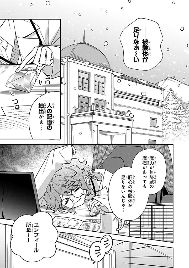 Jiyuu Kimama na Seireihime Chapter 34.3 3ページ