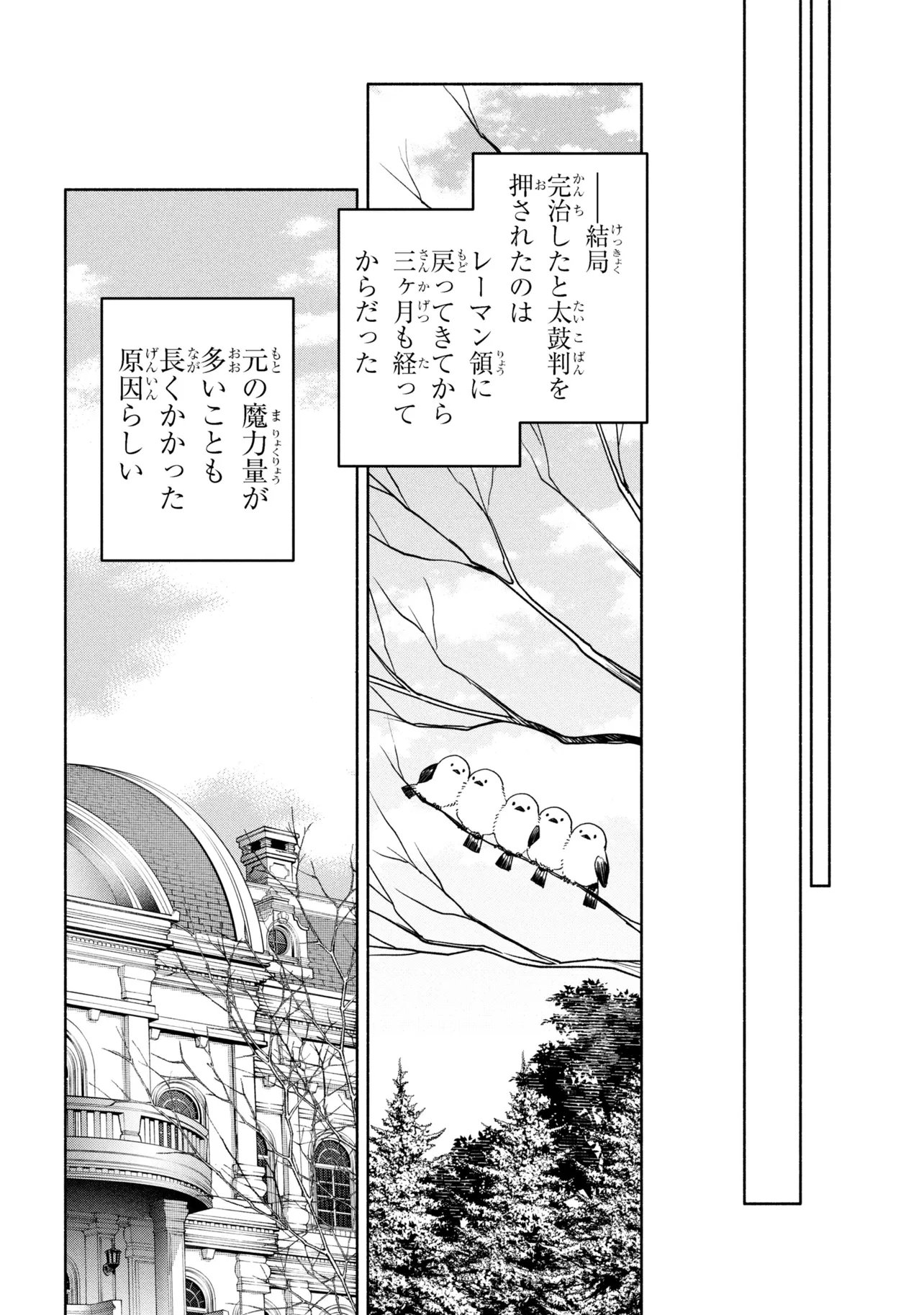 Ore no Manamusume wa Akuyaku Reijou Chapter 12.2 1ページ