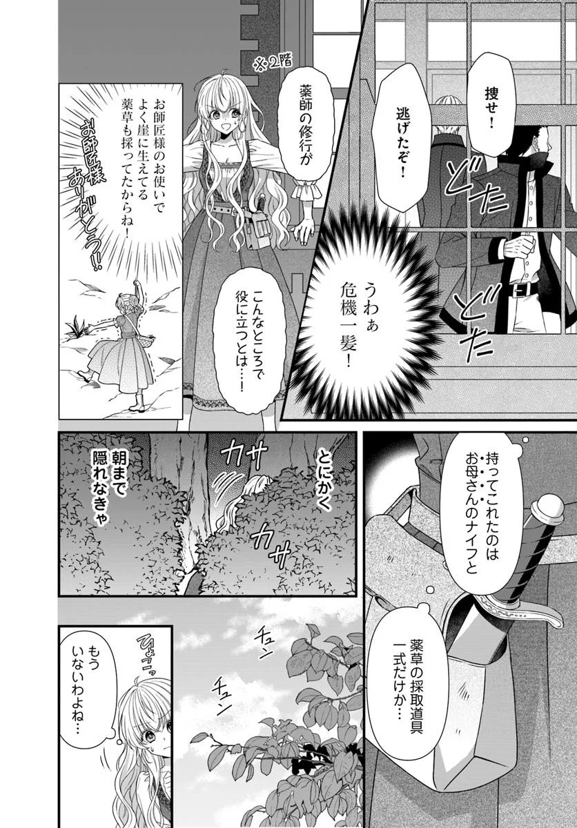 Oujo deshita ga Kossori Ryuu Kishidan no Senzoku Kusushi ni Narimashita! Chapter 1 16ページ