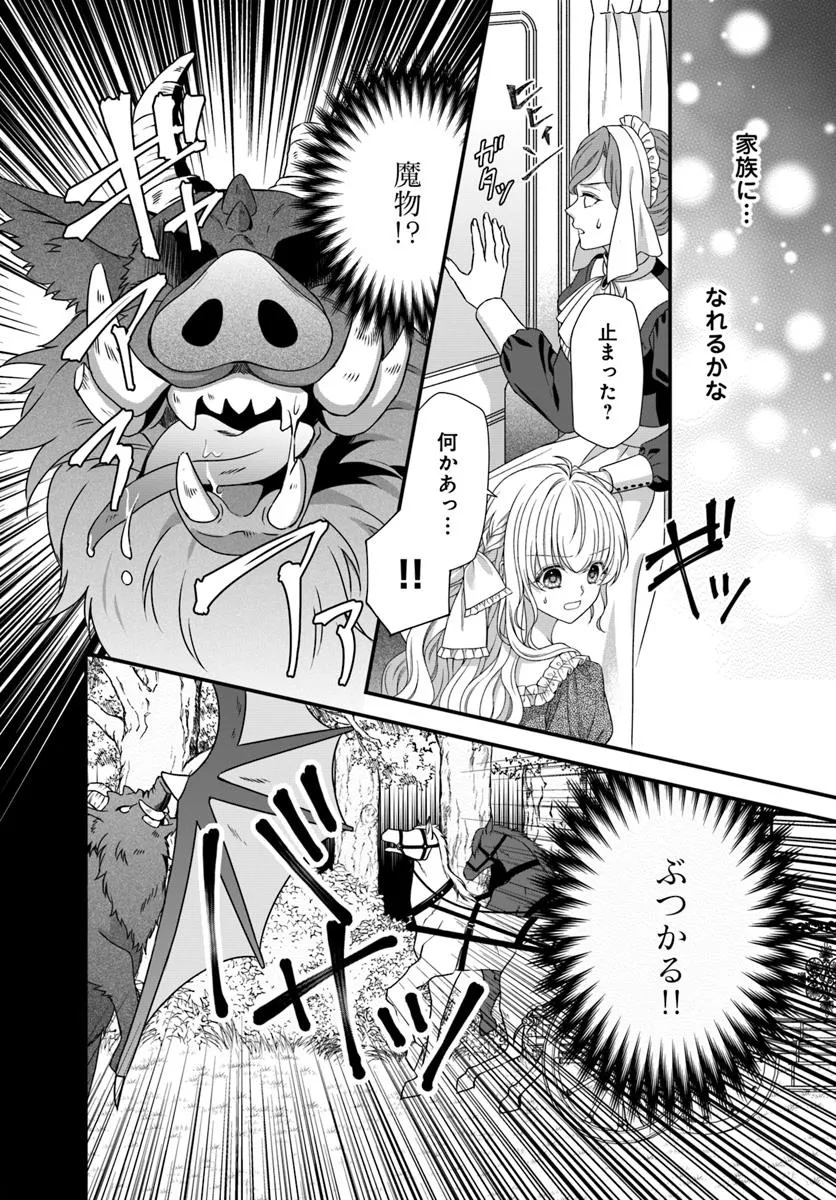 Oujo deshita ga Kossori Ryuu Kishidan no Senzoku Kusushi ni Narimashita! Chapter 1 26ページ