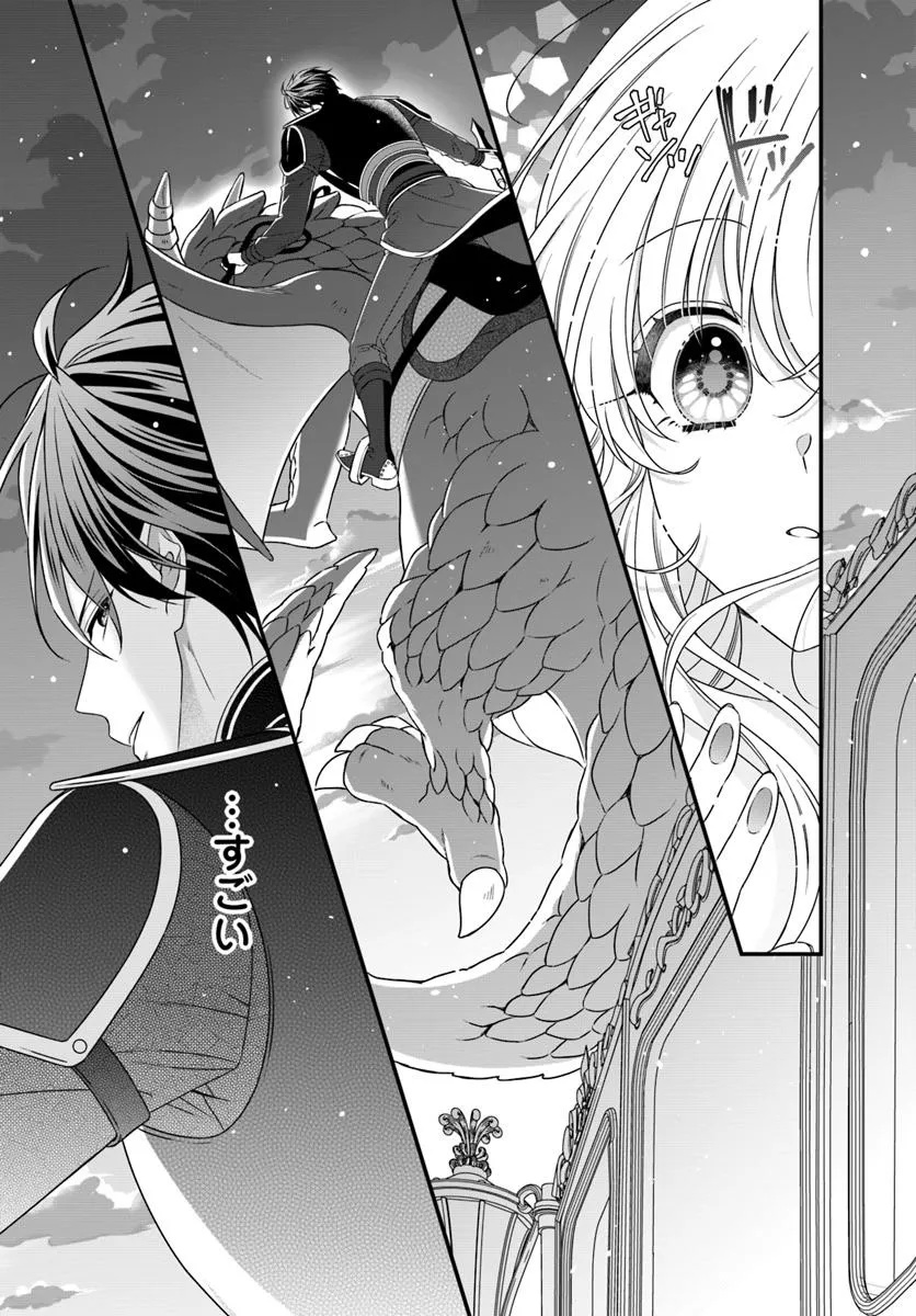 Oujo deshita ga Kossori Ryuu Kishidan no Senzoku Kusushi ni Narimashita! Chapter 1 27ページ