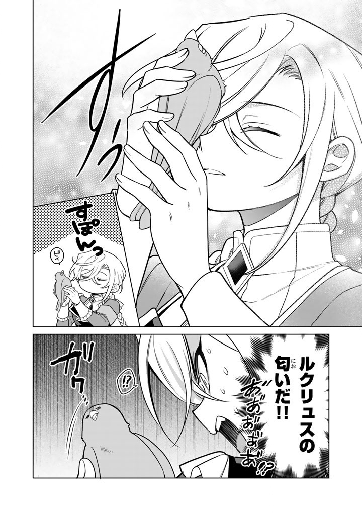 Ganseki Otome to Koishi-chan Chapter 12.1 14ページ