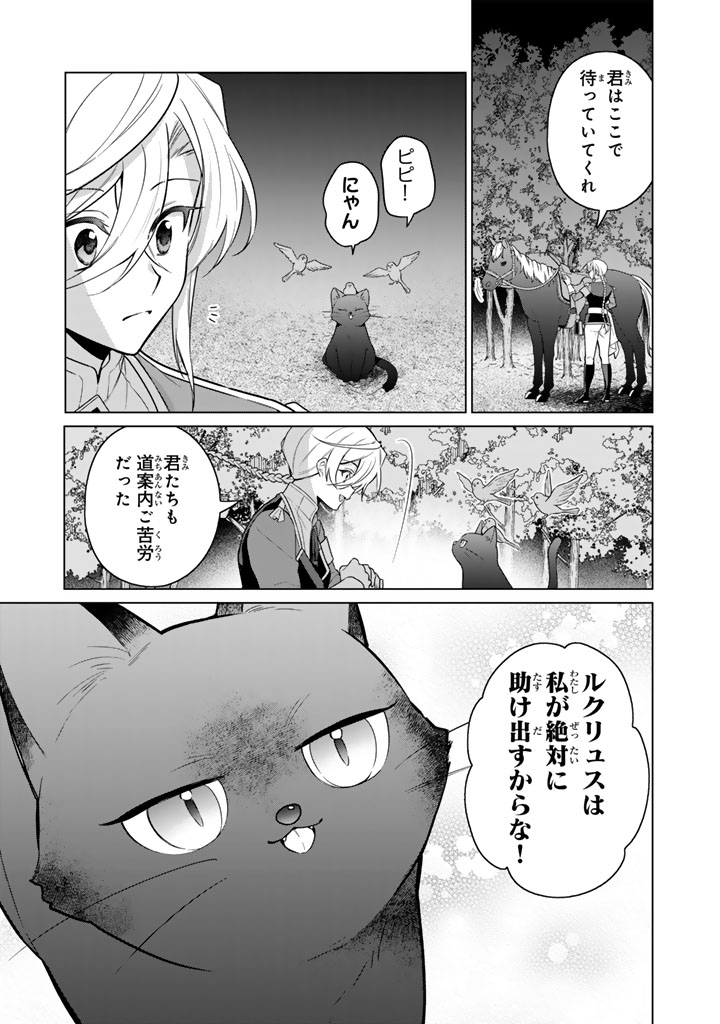 Ganseki Otome to Koishi-chan Chapter 14.1 11ページ