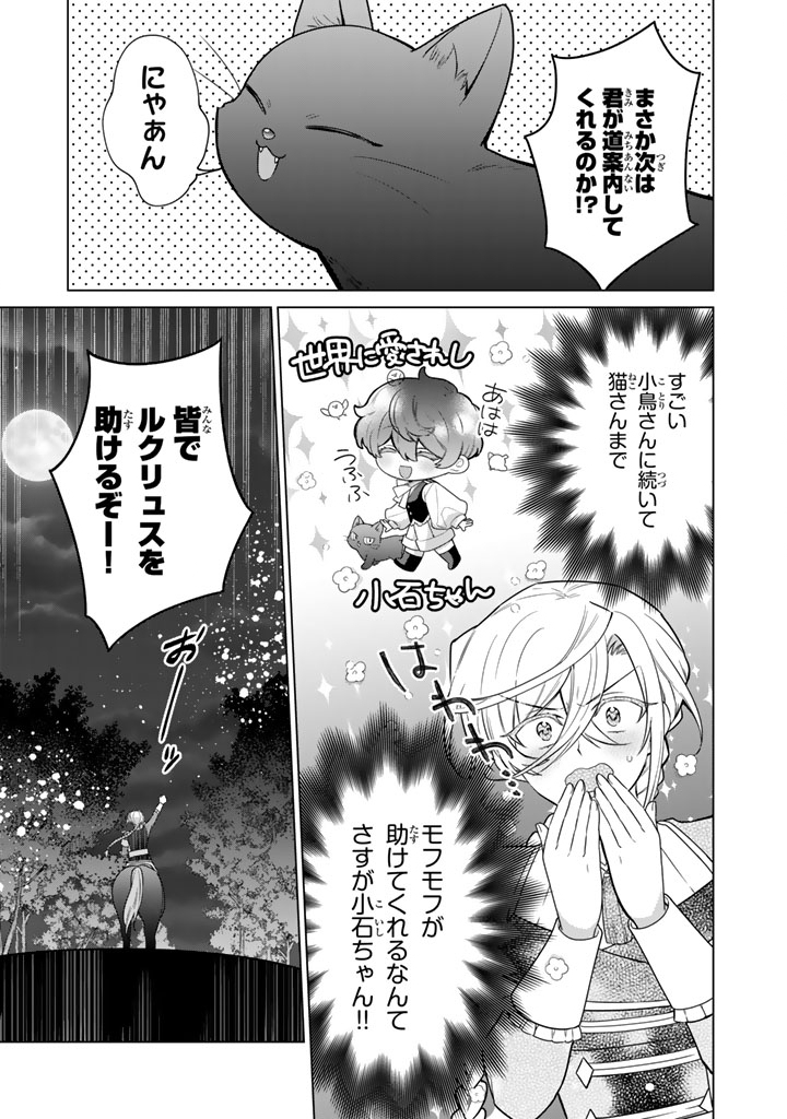 Ganseki Otome to Koishi-chan Chapter 14.1 9ページ
