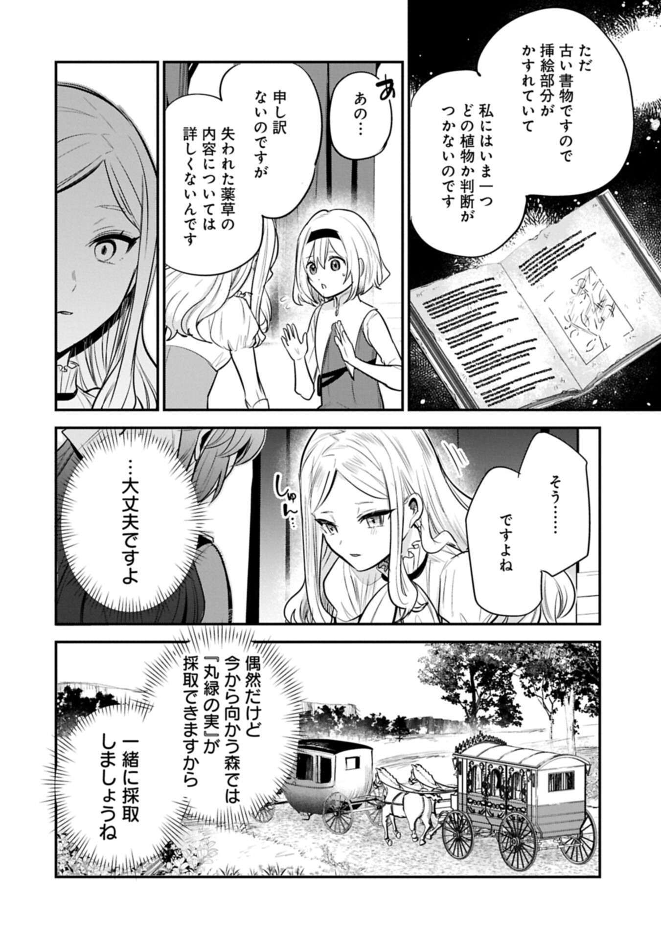 Tensei Shita Daiseijo wa, Seijo de Aru Koto wo Hitakakusu: A Tale of The Great Saint Chapter 63.3 12ページ