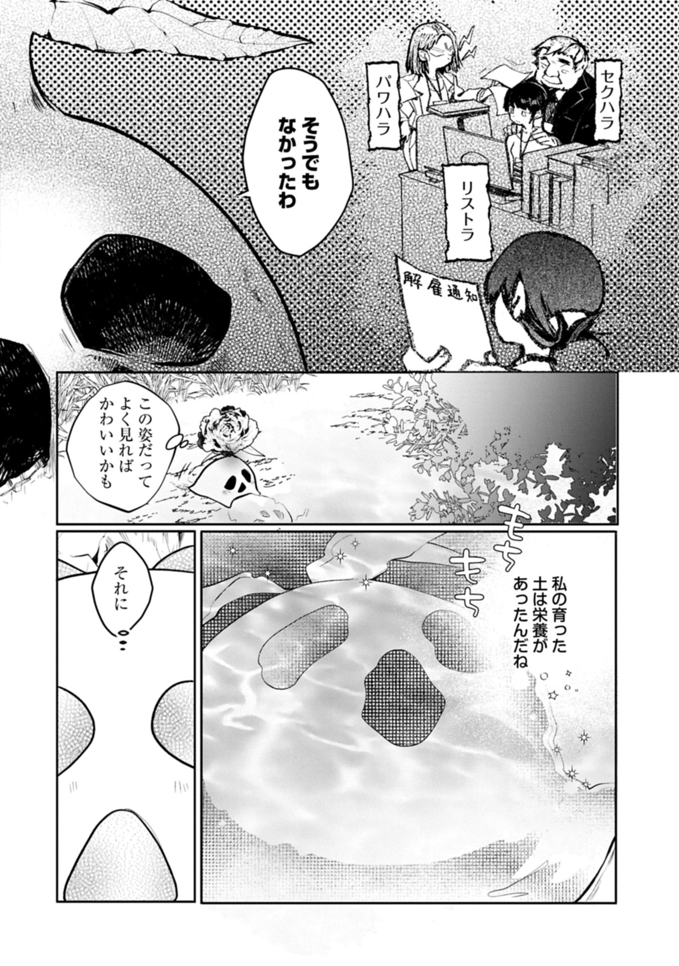 Mamono (Mandragora) tte Baretara Toubatsu desu ka? Chapter 1 16ページ
