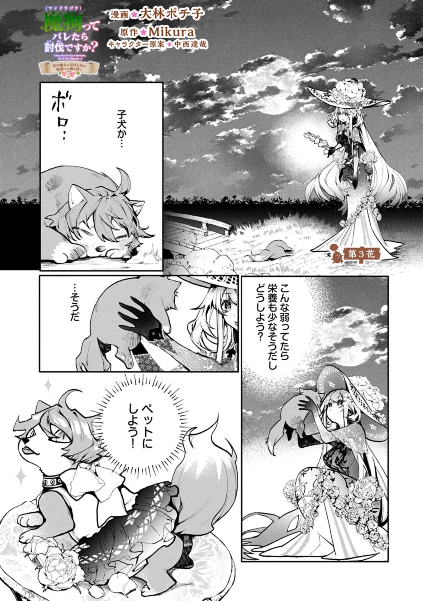 Mamono (Mandragora) tte Baretara Toubatsu desu ka? Chapter 3.1 1ページ