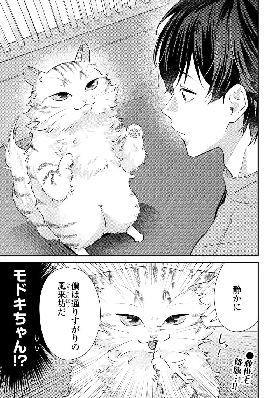 Hirotta no ga Hontou ni Neko ka wa Utagawashii Chapter 5 17ページ