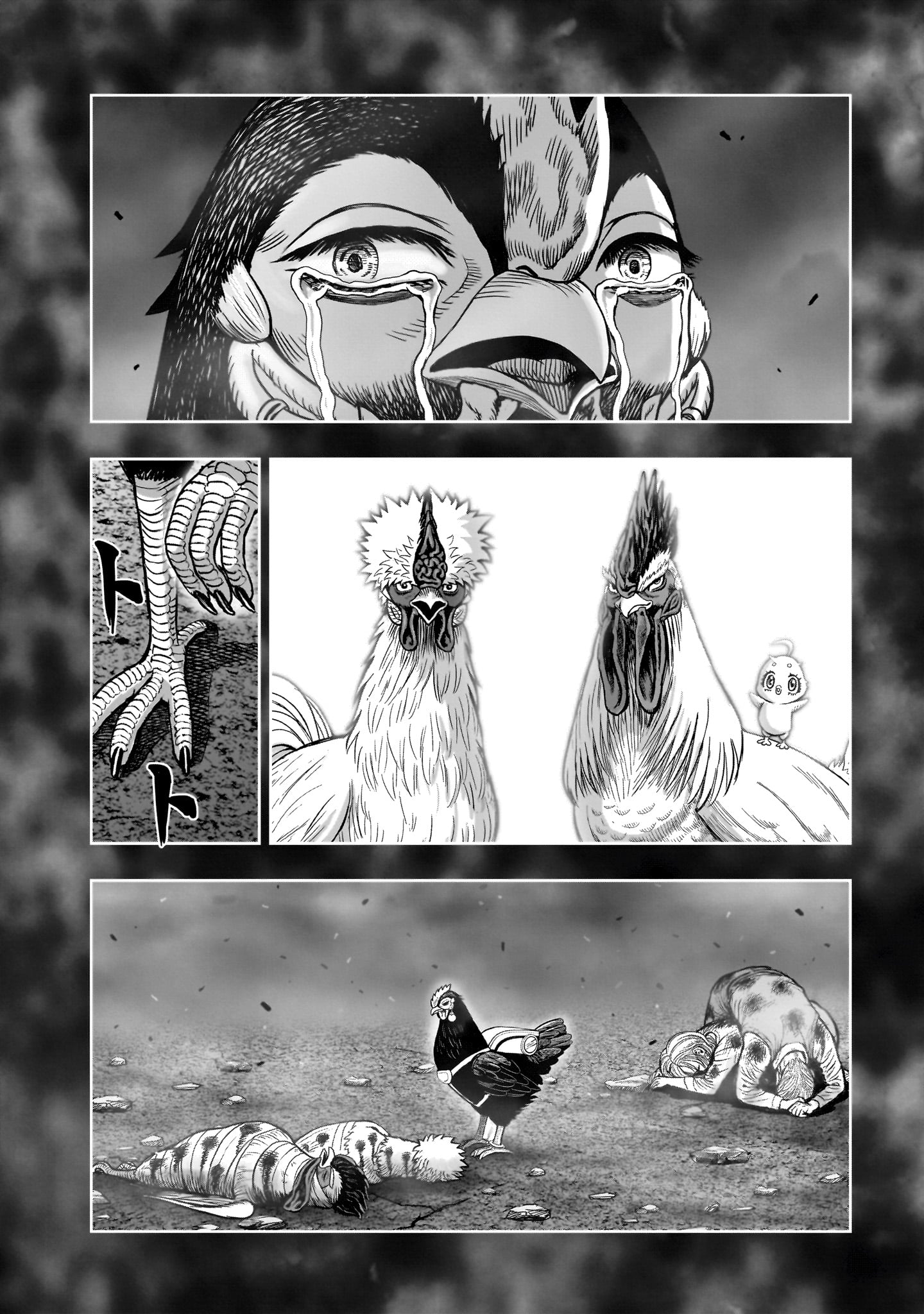 Niwatori Fighter Chapter 60 22ページ